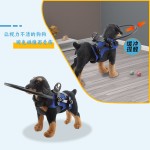 失明防护圈宠物用品防障碍物保护罩可调节便携盲眼防撞圈宠物跨境