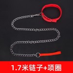 狗链子防咬断狗狗牵引绳大型犬小型犬铁链绳铁项圈拴狗链条遛狗绳