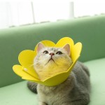 伊丽莎白圈宠物狗狗猫咪毛毡太阳花按扣项圈防舔伤口脖绝物耻辱圈