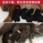 15色新生儿宠物项圈魔术贴分辨带幼犬专用小狗小猫咪脖子标识带