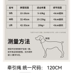 工厂直销轻奢跨境INS风狗项圈牵引绳舒适织带真皮宠物脖圈牵引绳