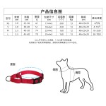 跨境直供狗项圈泰迪大中小型犬柯基金毛法斗反光尼龙宠物脖圈伸缩