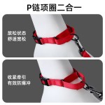跨境直供狗项圈泰迪大中小型犬柯基金毛法斗反光尼龙宠物脖圈伸缩