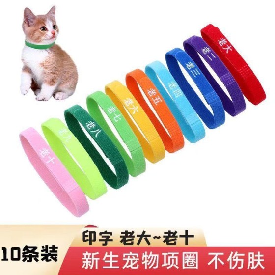 批发现货新生宠物身份识别圈小猫小狗彩色项圈幼犬出生标记记号绳