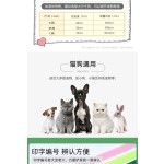 批发现货新生宠物身份识别圈小猫小狗彩色项圈幼犬出生标记记号绳