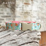 PLATTCO 新款舒适宠物项圈跨境项圈 甜香橙 PDC366