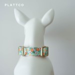 PLATTCO 新款舒适宠物项圈跨境项圈 甜香橙 PDC366