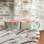 PLATTCO 新款舒适宠物项圈跨境项圈 甜香橙 PDC366