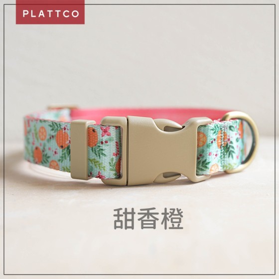 PLATTCO 新款舒适宠物项圈跨境项圈 甜香橙 PDC366
