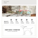 PLATTCO 新款舒适宠物项圈跨境项圈 甜香橙 PDC366