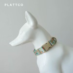 PLATTCO 新款舒适宠物项圈跨境项圈 甜香橙 PDC366