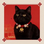 宠物体外驱虫项圈长效除跳蚤防虱子项圈猫咪项圈狗狗驱虫项圈铃铛