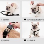 狗狗胸背带牵引绳中小型犬法斗柴犬宠物脖圈背心式遛狗绳宠物项圈