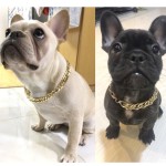 恶霸玫瑰金链子法斗狗中小型犬项圈宠物项链配饰嘻哈吊坠宠物潮饰