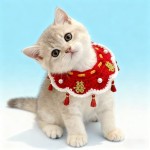 猫咪结婚装饰围脖宠物陪嫁项圈主人婚礼狗狗装扮口水围兜喜庆红色