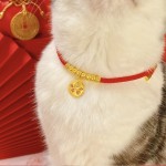 宠四哏中式宠物项圈猫咪狗狗饰品木珠铃铛挂件四季通用