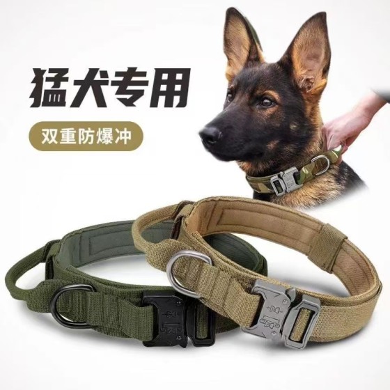 超结实大型犬栓狗狗项圈大狗圈颈圈中大型犬专用狗脖圈猛犬脖套