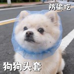 宠物头纱防乱吃头套伊丽莎白圈外出遛狗便利舒适透气防舔咬人网套