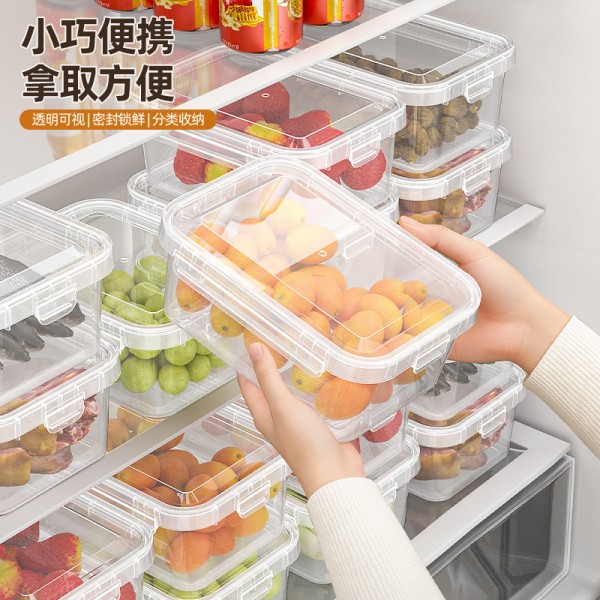 跨境密封保鲜盒家用冰箱收纳盒大容量透明款食品级冻肉果蔬分装盒
