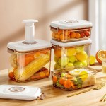 真空保鲜盒手动抽气密封罐食品级冰箱沥水储物盒食物收纳盒批发定