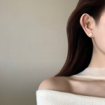 S925纯银镀18K金经典四叶草锆石耳钉女高级感轻奢风日常
