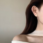 S925纯银镀18K金经典四叶草锆石耳钉女高级感轻奢风日常
