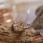 天然彩宝戒指女S925银镶粉托帕石紫水晶黄水晶橄榄石石榴石食指戒