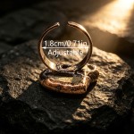 复古风天然海螺鹦鹉螺化石手工烧焊包边电镀古铜开口可调节戒指