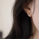 S925纯银红色锆石耳钉女镀18k金轻奢复古方形耳环百搭2026年新款