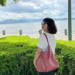 狗牙hobo新款腋下大容量妈咪单肩流浪包子母托特通勤拉链购物袋