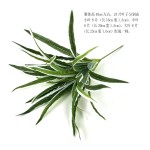 人造绿植仿真花金边叶吊兰草工程绿化景观造景插花配材假植物批发