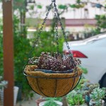 椰棕毛挂壁挂花篮墙面装饰多肉植物插花吊兰盆半圆形花盆椰棕吊篮