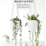 跨境欧林泽批发垂挂塑料懒人花盆蛋形吊盆挂绳北欧简约自吸水花盆