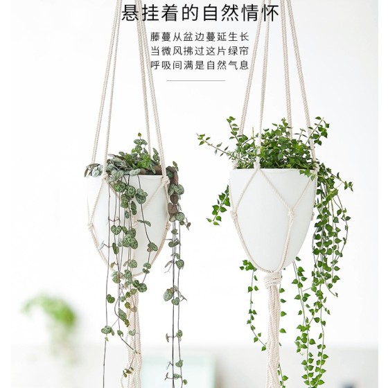 跨境欧林泽批发垂挂塑料懒人花盆蛋形吊盆挂绳北欧简约自吸水花盆