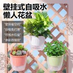 壁挂花盆懒人盆免浇水挂墙上免钉多肉花盆绿萝挂篮盆挂壁塑料花盆