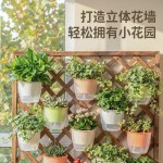 壁挂花盆懒人盆免浇水挂墙上免钉多肉花盆绿萝挂篮盆挂壁塑料花盆