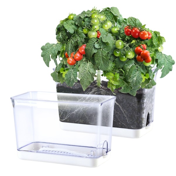跨境批发全透明花盆植物观察盒盆栽生长透明观察盒透气透明塑料盆