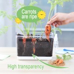 跨境批发全透明花盆植物观察盒盆栽生长透明观察盒透气透明塑料盆