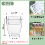 跨境欧林泽厂家批发水培花盆全透明塑料盆家用扦插育苗盆懒人储水