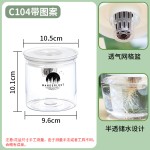 跨境欧林泽厂家批发水培花盆全透明塑料盆家用扦插育苗盆懒人储水
