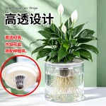 跨境欧林泽厂家批发水培花盆全透明塑料盆家用扦插育苗盆懒人储水