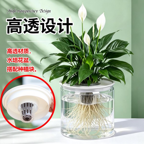 跨境欧林泽厂家批发水培花盆全透明塑料盆家用扦插育苗盆懒人储水