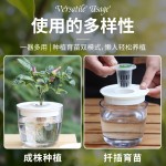 跨境欧林泽厂家批发水培花盆全透明塑料盆家用扦插育苗盆懒人储水