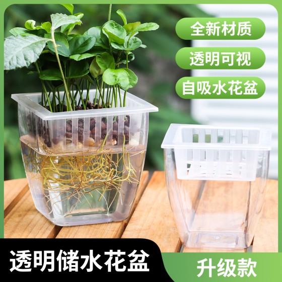 跨境欧林泽厂家批发水培花盆全透明塑料盆家用扦插育苗盆懒人储水