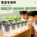 跨境批发育苗吸水盆家用水培加厚款育苗杯黑色育苗钵半透明育苗杯