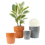 源头工厂跨境塑料懒人自吸水花盆家用简约种植神器加厚塑料园艺盆
