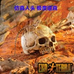 爬虫缸饲养盒造景装饰沙骷髅头蜘蛛蝎子蜥蜴守宫鱼缸摆件养鱼用品