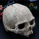 鱼缸水族箱造景装饰蝎子守宮蜘蛛蜥蜴蛇蟒骷髅头骨繁殖屋躲避摆件