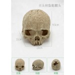 鱼缸水族箱造景装饰蝎子守宮蜘蛛蜥蜴蛇蟒骷髅头骨繁殖屋躲避摆件