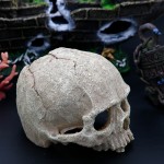 鱼缸水族箱造景装饰蝎子守宮蜘蛛蜥蜴蛇蟒骷髅头骨繁殖屋躲避摆件